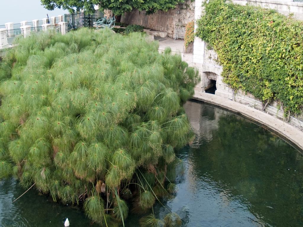 Rosa Di Ortigia Apartment Syracuse ภายนอก รูปภาพ