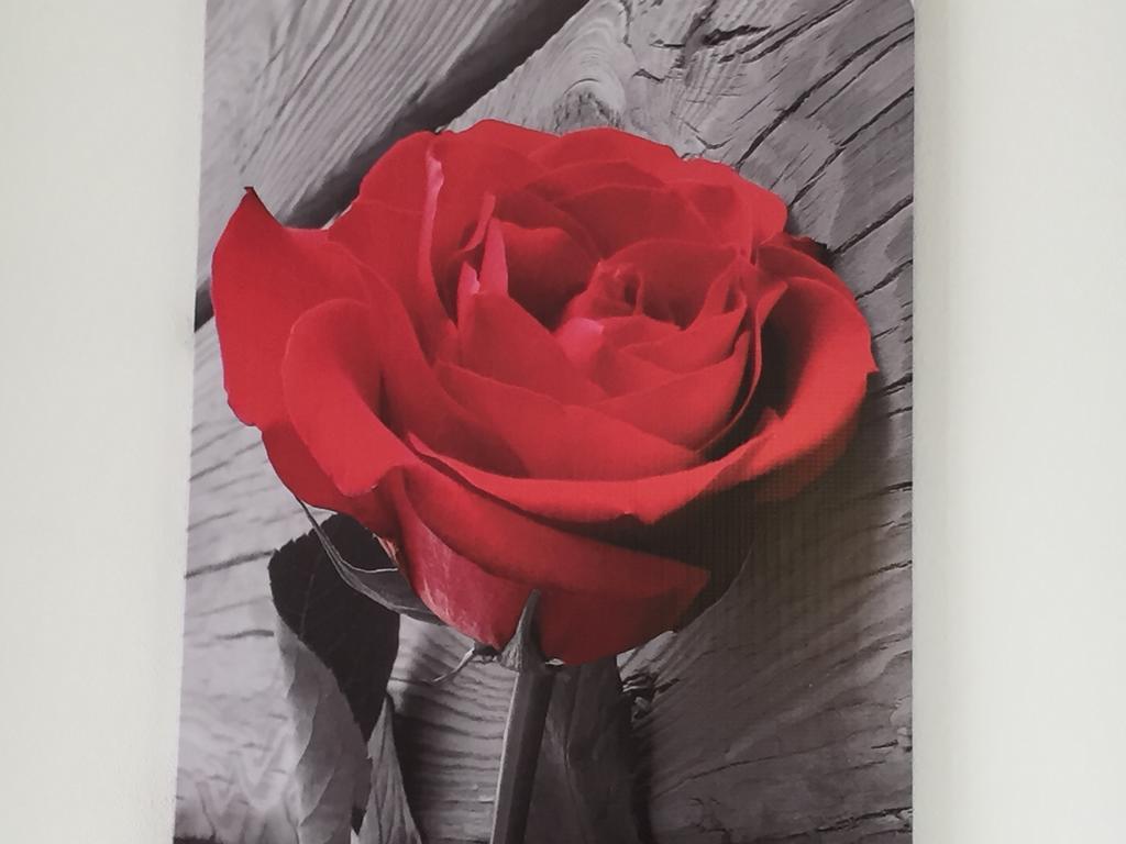 Rosa Di Ortigia Apartment Syracuse ภายนอก รูปภาพ